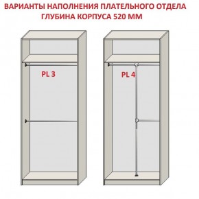 Шкаф распашной серия «ЗЕВС» (PL3/С1/PL2) в Воткинске - votkinsk.ok-mebel.com | фото 10