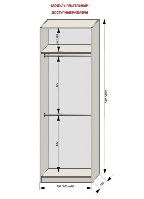 Шкаф распашной серия «ЗЕВС» (PL3/С1/PL2) в Воткинске - votkinsk.ok-mebel.com | фото 12