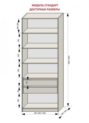 Шкаф распашной серия «ЗЕВС» (PL3/С1/PL2) в Воткинске - votkinsk.ok-mebel.com | фото 13