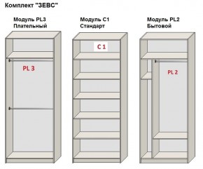 Шкаф распашной серия «ЗЕВС» (PL3/С1/PL2) в Воткинске - votkinsk.ok-mebel.com | фото 2