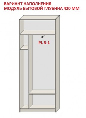 Шкаф распашной серия «ЗЕВС» (PL3/С1/PL2) в Воткинске - votkinsk.ok-mebel.com | фото 4