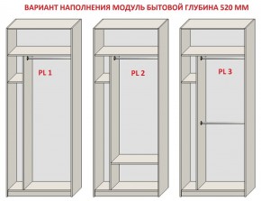 Шкаф распашной серия «ЗЕВС» (PL3/С1/PL2) в Воткинске - votkinsk.ok-mebel.com | фото 5