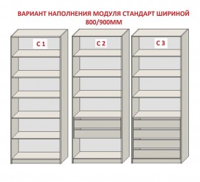 Шкаф распашной серия «ЗЕВС» (PL3/С1/PL2) в Воткинске - votkinsk.ok-mebel.com | фото 6