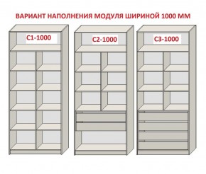 Шкаф распашной серия «ЗЕВС» (PL3/С1/PL2) в Воткинске - votkinsk.ok-mebel.com | фото 7