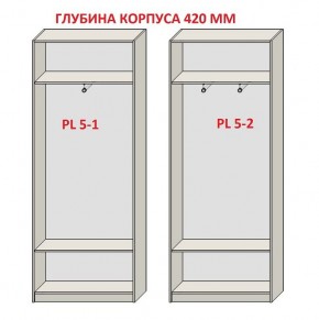 Шкаф распашной серия «ЗЕВС» (PL3/С1/PL2) в Воткинске - votkinsk.ok-mebel.com | фото 8