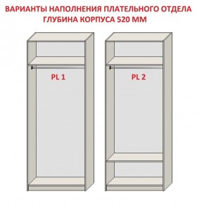 Шкаф распашной серия «ЗЕВС» (PL3/С1/PL2) в Воткинске - votkinsk.ok-mebel.com | фото 9