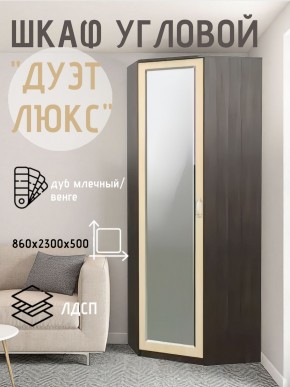 Шкаф угловой Дуэт Люкс с зеркалом в Воткинске - votkinsk.ok-mebel.com | фото 5