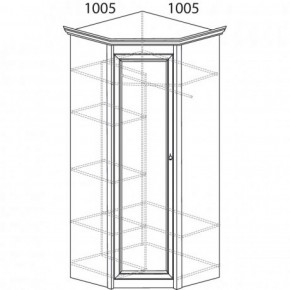 Шкаф угловой №662 "Флоренция" Фасад глухой (угол 1005*1005) Дуб оксфорд в Воткинске - votkinsk.ok-mebel.com | фото 3