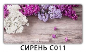 Стол раздвижной Трилогия с фотопечатью Орхидея C012 в Воткинске - votkinsk.ok-mebel.com | фото 16