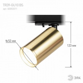 Светильник на штанге Эра  TR39-GU10 BS в Воткинске - votkinsk.ok-mebel.com | фото 6