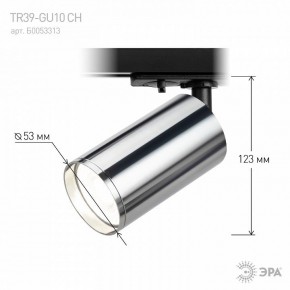 Светильник на штанге Эра  TR39-GU10 СН в Воткинске - votkinsk.ok-mebel.com | фото 7
