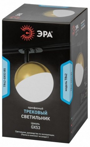 Светильник на штанге Эра  TR42-GX53 BS в Воткинске - votkinsk.ok-mebel.com | фото 6