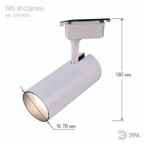 Светильник на штанге Эра  TR5-30 COB WH в Воткинске - votkinsk.ok-mebel.com | фото 6