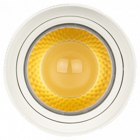 Светильник на штанге Эра  TR59 - 2040 WH в Воткинске - votkinsk.ok-mebel.com | фото 3
