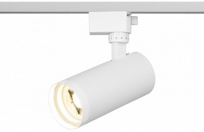 Светильник на штанге Эра  TR59 - 2040 WH в Воткинске - votkinsk.ok-mebel.com | фото 5