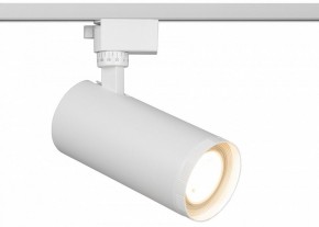 Светильник на штанге Эра  TR59 - 3030 WH в Воткинске - votkinsk.ok-mebel.com | фото