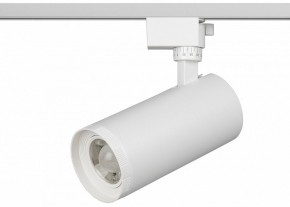 Светильник на штанге Эра  TR59 - 3030 WH в Воткинске - votkinsk.ok-mebel.com | фото 2
