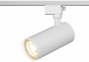 Светильник на штанге Эра  TR59 - 3030 WH в Воткинске - votkinsk.ok-mebel.com | фото 5