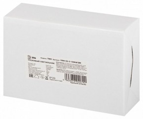 Светильник на штанге Эра  TRM-S5-3-12W4K-BK в Воткинске - votkinsk.ok-mebel.com | фото 8