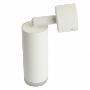 Светильник на штанге Feron ML1021 51390 в Воткинске - votkinsk.ok-mebel.com | фото 3
