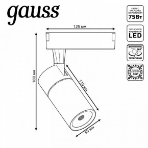 Светильник на штанге Gauss Track Light TR060 в Воткинске - votkinsk.ok-mebel.com | фото 5