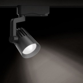 Светильник на штанге Gauss Track Light TR061 в Воткинске - votkinsk.ok-mebel.com | фото 2