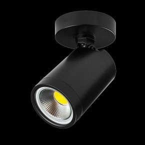 Светильник на штанге Lightstar Rullo 213407 в Воткинске - votkinsk.ok-mebel.com | фото 2