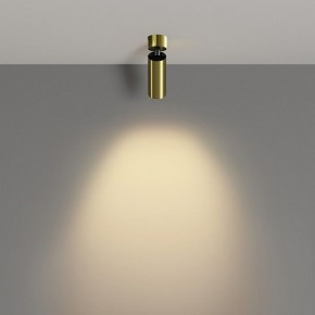 Светильник на штанге Maytoni FOCUS LED C055CL-L12W2.7K-W-BS в Воткинске - votkinsk.ok-mebel.com | фото