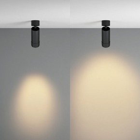 Светильник на штанге Maytoni Focus Zoom C055CL-L12W2.7K-Z-B в Воткинске - votkinsk.ok-mebel.com | фото 3