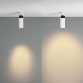Светильник на штанге Maytoni Focus Zoom C055CL-L12W2.7K-Z-W в Воткинске - votkinsk.ok-mebel.com | фото 3