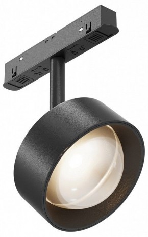 Светильник на штанге Maytoni Lens TR217-2-15W3K-B в Воткинске - votkinsk.ok-mebel.com | фото