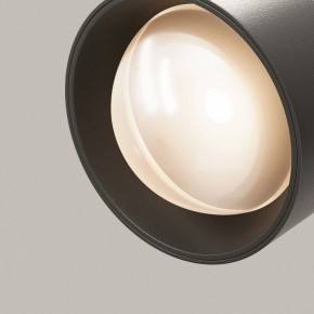 Светильник на штанге Maytoni Lens TR217-2-15W3K-B в Воткинске - votkinsk.ok-mebel.com | фото 12