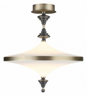 Светильник на штанге Odeon Light Ula 5404/43CL в Воткинске - votkinsk.ok-mebel.com | фото 2
