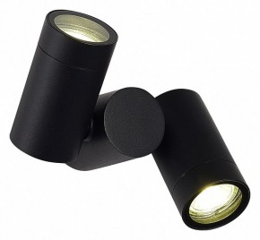 Светильник на штанге ST-Luce Ecollo SL9011.402.02 в Воткинске - votkinsk.ok-mebel.com | фото 2