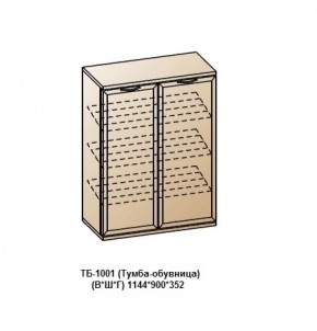 ТБ-1001 (Тумба-обувница) в Воткинске - votkinsk.ok-mebel.com | фото