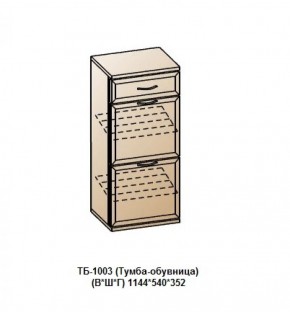 ТБ-1003 (Тумба-обувница) в Воткинске - votkinsk.ok-mebel.com | фото