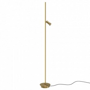 Торшер Maytoni Thin MOD395FL-L28BS3K в Воткинске - votkinsk.ok-mebel.com | фото