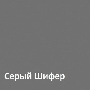 Юнона Шкаф торцевой 13.221 в Воткинске - votkinsk.ok-mebel.com | фото 2